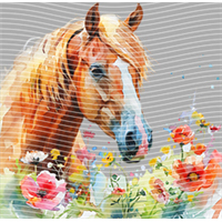 Animal Integration-DW 408